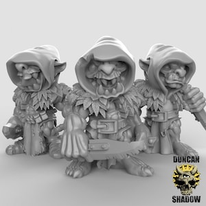 Goblin Cult Mini, Medum Minature  Duncan Shadow Goblin swordman, Goblin fighter, Goblin warrior, Goblin cult, Goblin cultist, Goblin Leader