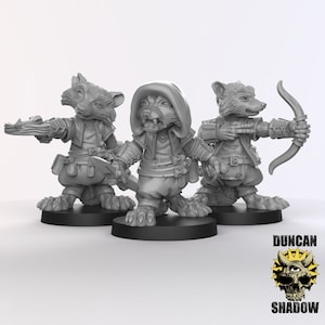 D0049-D0051 Racoon-folk Rogue, Racoon-folk Ranger, Racoon-folk Assasin, Racoon Thief, Racoon Rogue, Dnd Racoon Miniature, Racoon mini