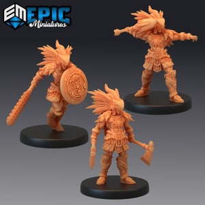 Eagle Hunter 2170-2172 , Medium Miniature, Epic miniature, Dungeon and Dragons, RPG, Dnd, Aztec warrior, Eagle warrior