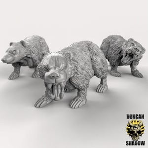 Badgers | Great For Fantasy RPGs