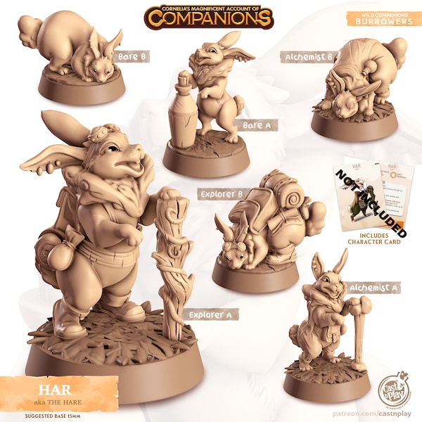 32/28mm The Hare Companion, CastnPlay miniatures , Role Playing Games Miniature, WoW, Dungeon and Dragons, RPG, DnD,Rabbit.