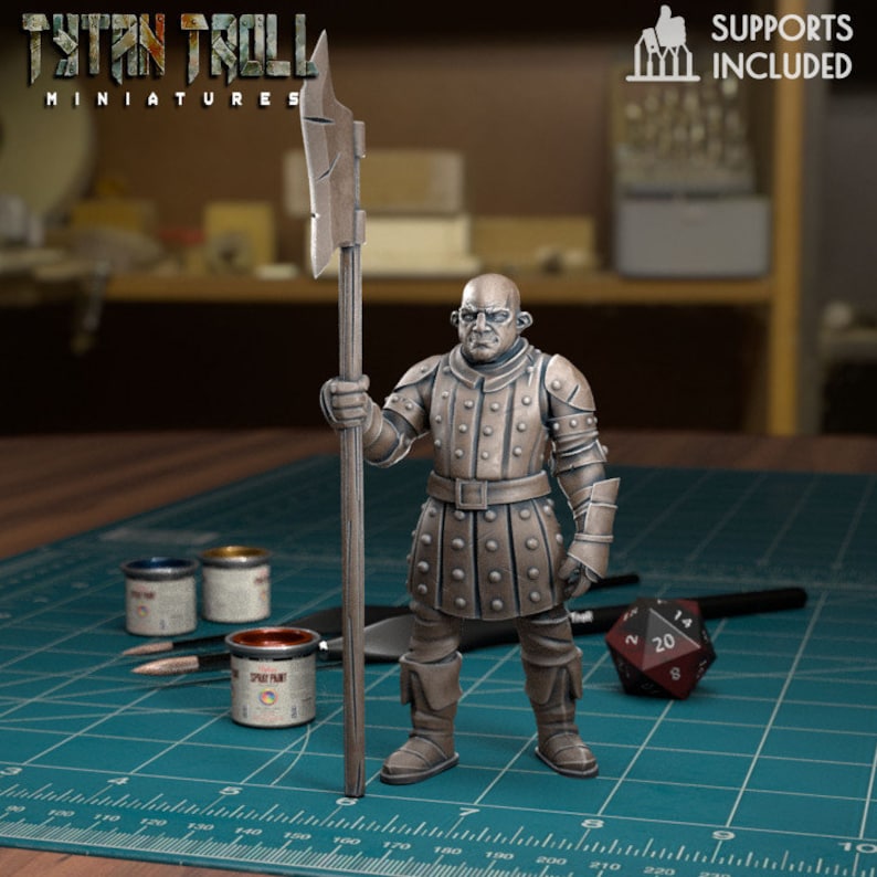 28/32mm scale City Guards 2 Bundle Deal, Medium Miniatures, TytanTroll Minitures, Dungeon and Dragons, RPG, Dnd, Pathfinder, Footmen. City Guard 4