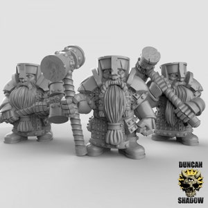 D0061-D0063 Armoured Dwarfs, Shield dwarf, dnd Shield Dwarf, Gold Dwarf, dnd Dwarf, Duegarr Dwarf, Hammer Dwarf