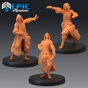 Masked Assassin 2101-2103, Medium Miniature, Epic miniature, Dungeon and Dragons, RPG, Dnd, Night Masks, Black Finger, Dark Daggers