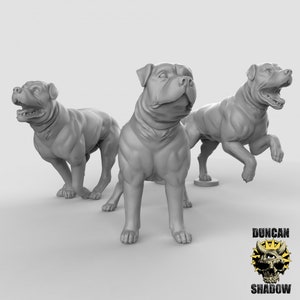 Set di miniature di cani / Cane da guerra, mastino e segugio / 28/32 mm DnD Mini / Cani fantasy e da battaglia / Chien Mastiff Miniature, Mastiff Hund Miniatur