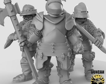 Royal Knight Miniature Set | 28mm-32mm | 3D Printed Resin Royal Knights / City Guard Fighters for D&D / Pathfinder | RPG Tabletop