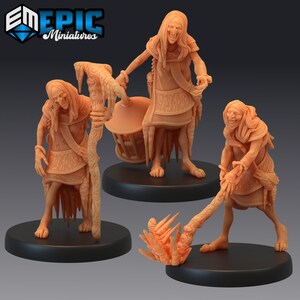 Winter Hag 804-806 , Medium Miniature, Epic miniature, Dungeon and Dragons, RPG, Dnd, Pathfinder, Hag, cold Hag, Ice Hag, Snow Hag,