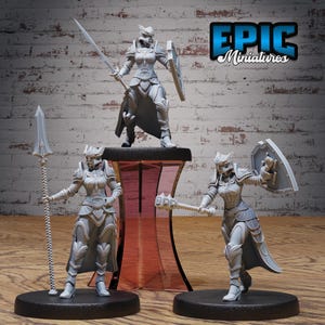 Ensemble de 2 figurines de paladins féminins | 28 mm-32 mm | Impression 3D de paladins femelles en résine / Guerrières divines pour D&D / Pathfinder | RPG de table