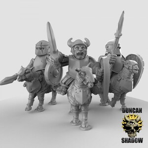 Royal Knight haflings 3nd set by Duncan Shadow Dnd, Dungeon and Dragon Mini, Tabletop Miniature, Miniature, Fantasy Miniatures, Dnd Mini&#39;s