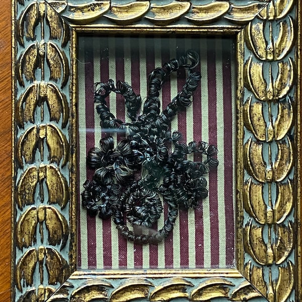 Victorian Inspired Horsehair Flowers in Chain Motif Shadowbox