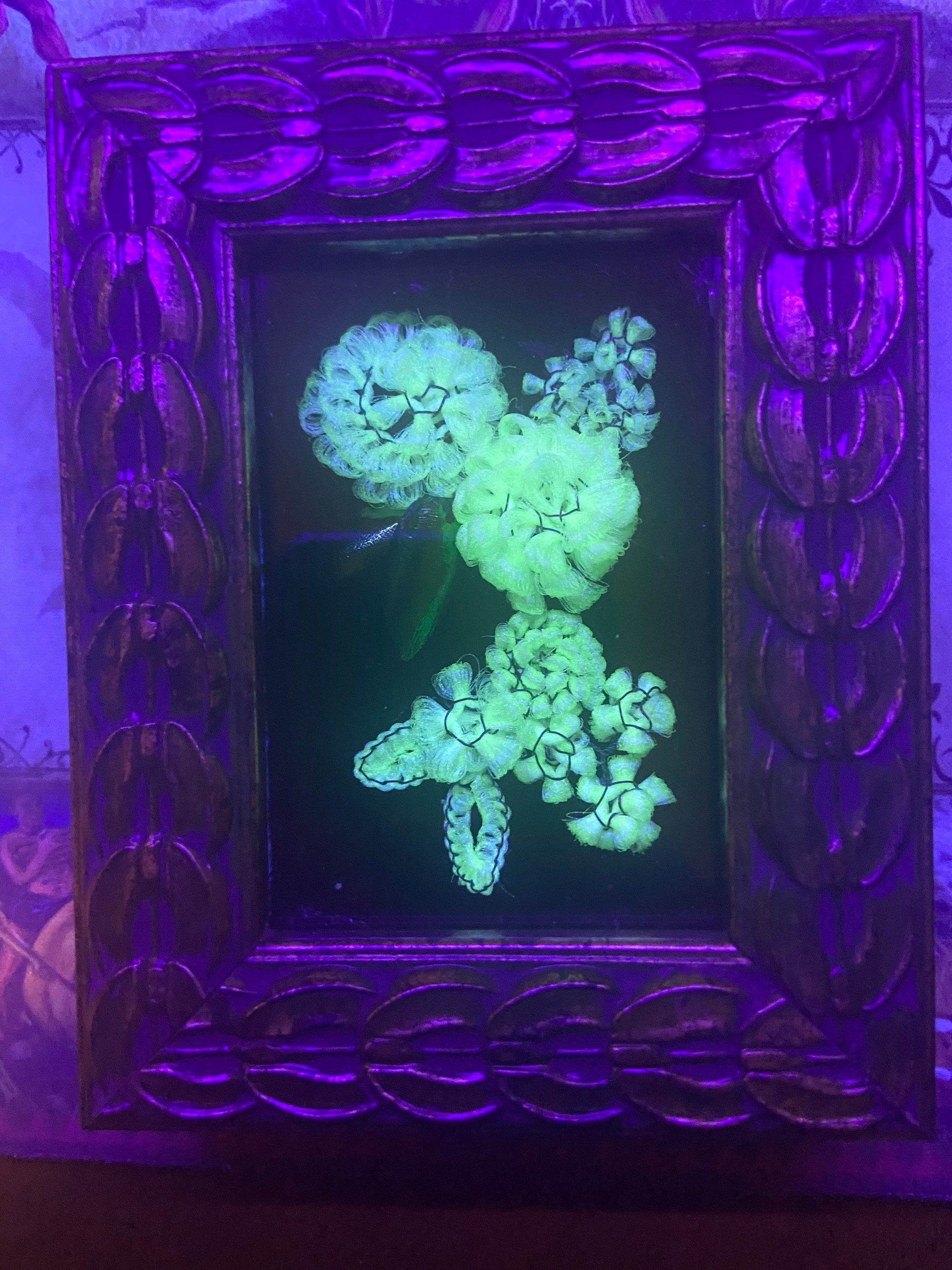 Victorian Inspired ghost Hair Work Flowers in Shadowbox Etsy