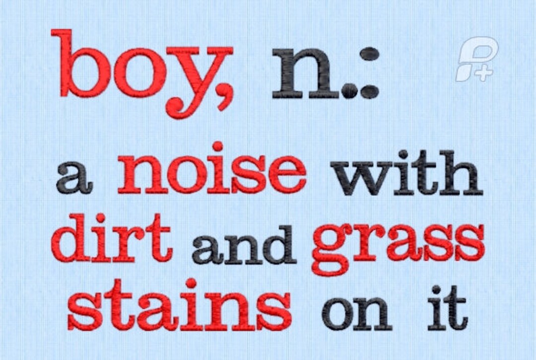 Boy Noun, a Noise With Dirt and Grass Stains on It Embroidery Saying