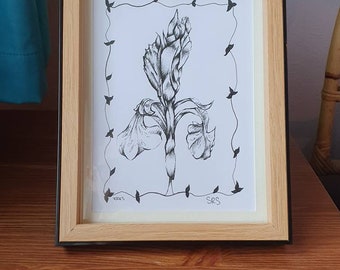 Flower Picture,Framed Pen and Ink  Hand Drawing of an Iris Flower