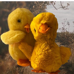 May include: Two yellow plush chicks, one with its head turned to the side and the other with its head turned forward, are sitting on a brown background.