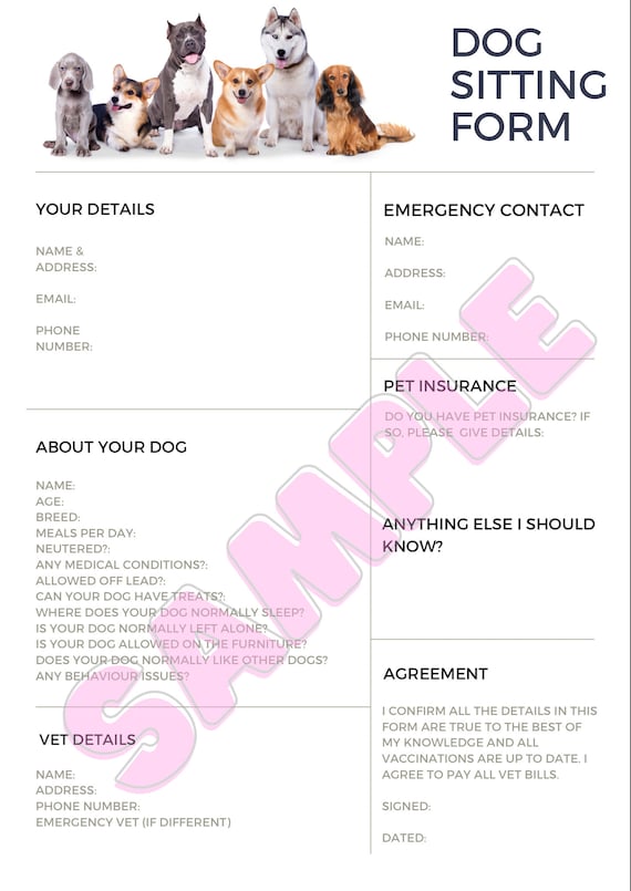 Pet Sitting Small Paws Boarding Pet Boarding Pet Sitter Wanted Pet