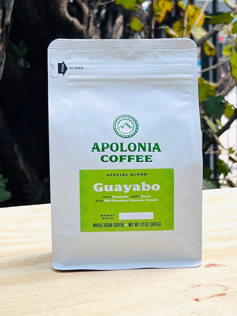 Labor Dayguatemala Handmade Coffee MUG Mug, Hand Painted Hummingbird Coffee Mug, Perfect Gift