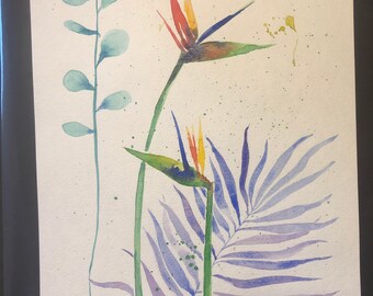Birds of paradise.