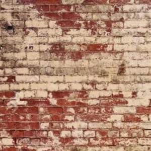 May include: A brick wall with red bricks and white paint that is peeling and chipping. The wall has a rustic and weathered look.