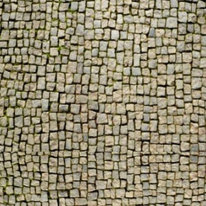 Puede incluir: Una vista de cerca de un camino empedrado con pequeñas piedras cuadradas en tonos grises y marrones. Las piedras son irregulares y tienen una textura rugosa. Hay pequeños parches de hierba verde creciendo entre las piedras.