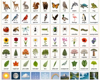 Karty edukacyjne Montessori Nature