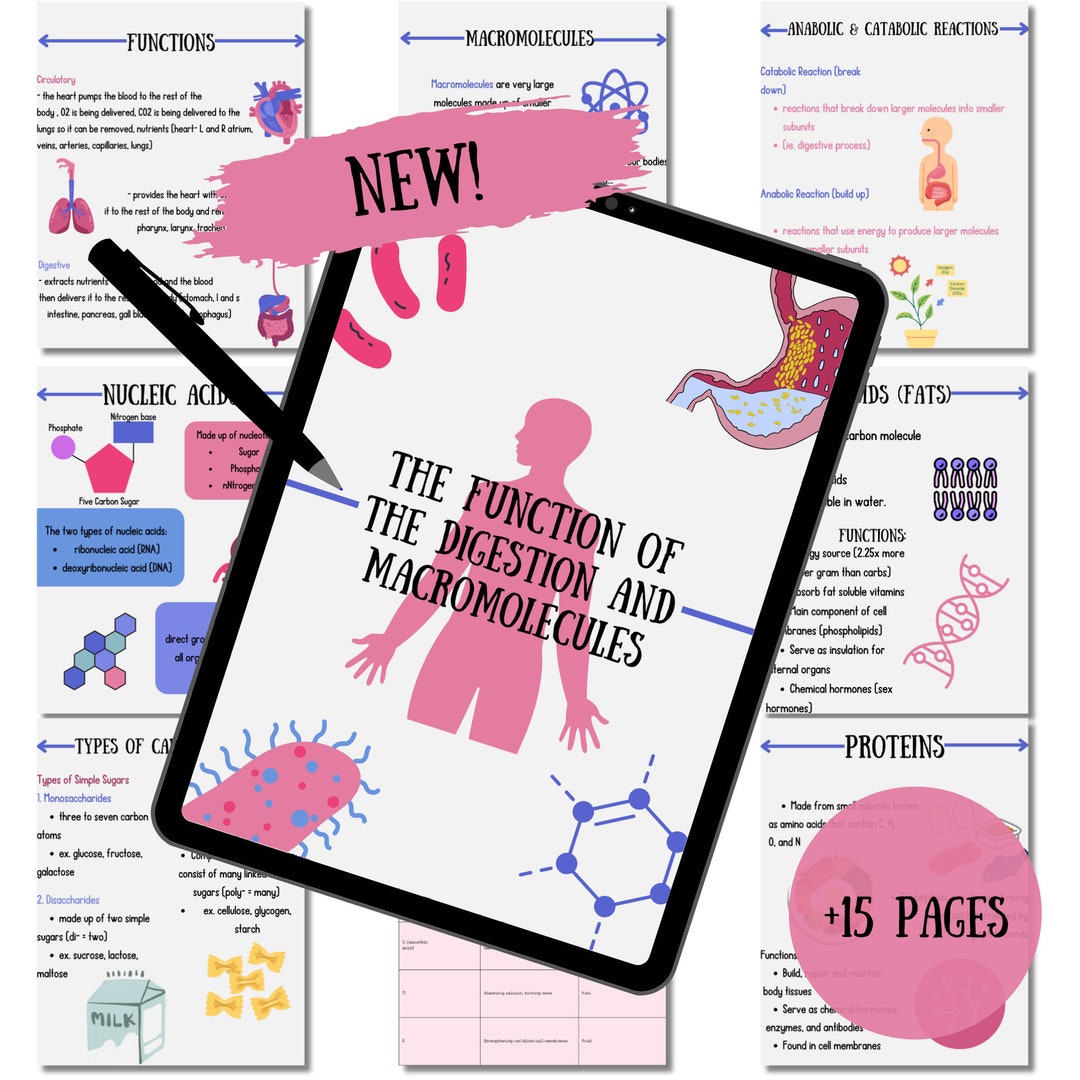 Comprehensive Biology Notes 2024 | Study Guide on Macromolecules ...