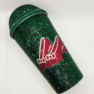Bling Dome Tumbler with hidden storage.