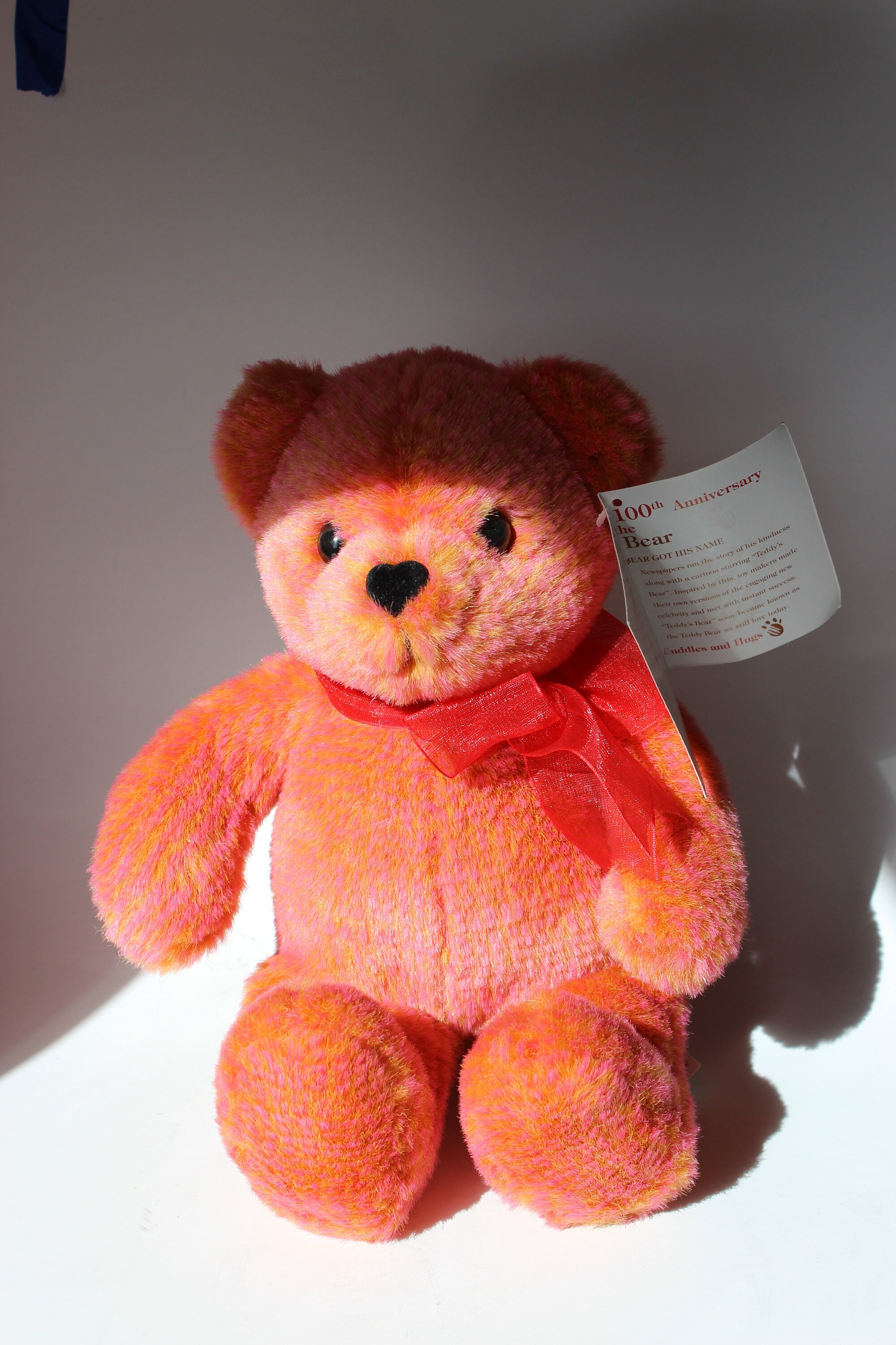 avon talking teddy bear instructions