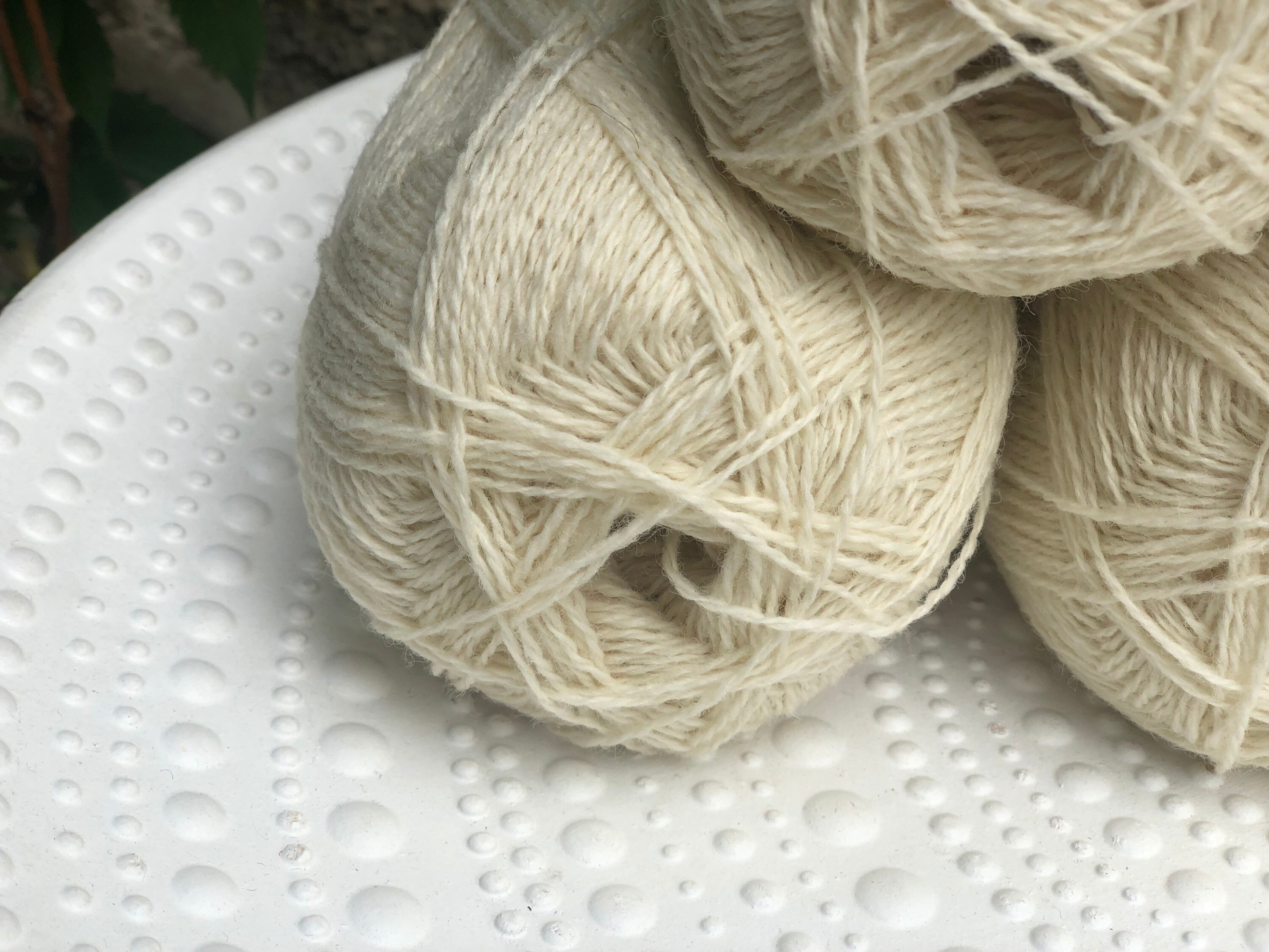 Milkwhite New Zealand Wool Yarn 100 Wool Yarn Fingering Etsy