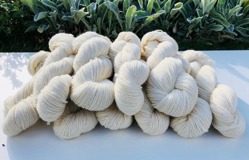 European sheep wool yarn 1 kg Yarn for dyeing Lithuania white wool yarn Hand knitting wool yarn DK Light worsted DULTWoolWhite1kg image 1