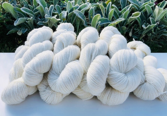 Fil de laine doigté de Nouvelle-Zélande Laine blanche au lait Fil à  tricoter à la