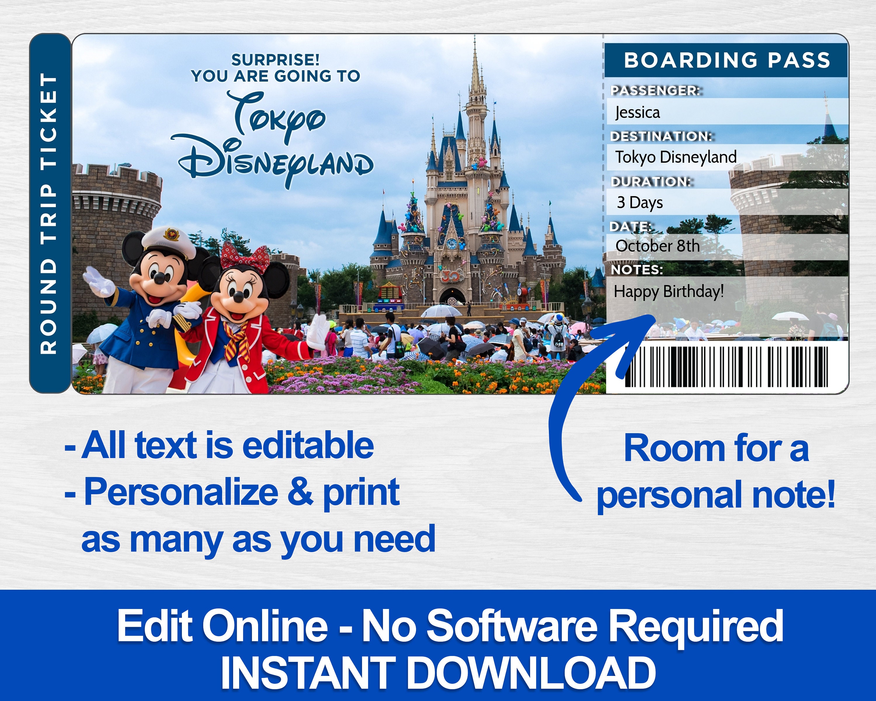 Tokyo Disneyland Surprise Boarding Pass Tickets Surprise Etsy