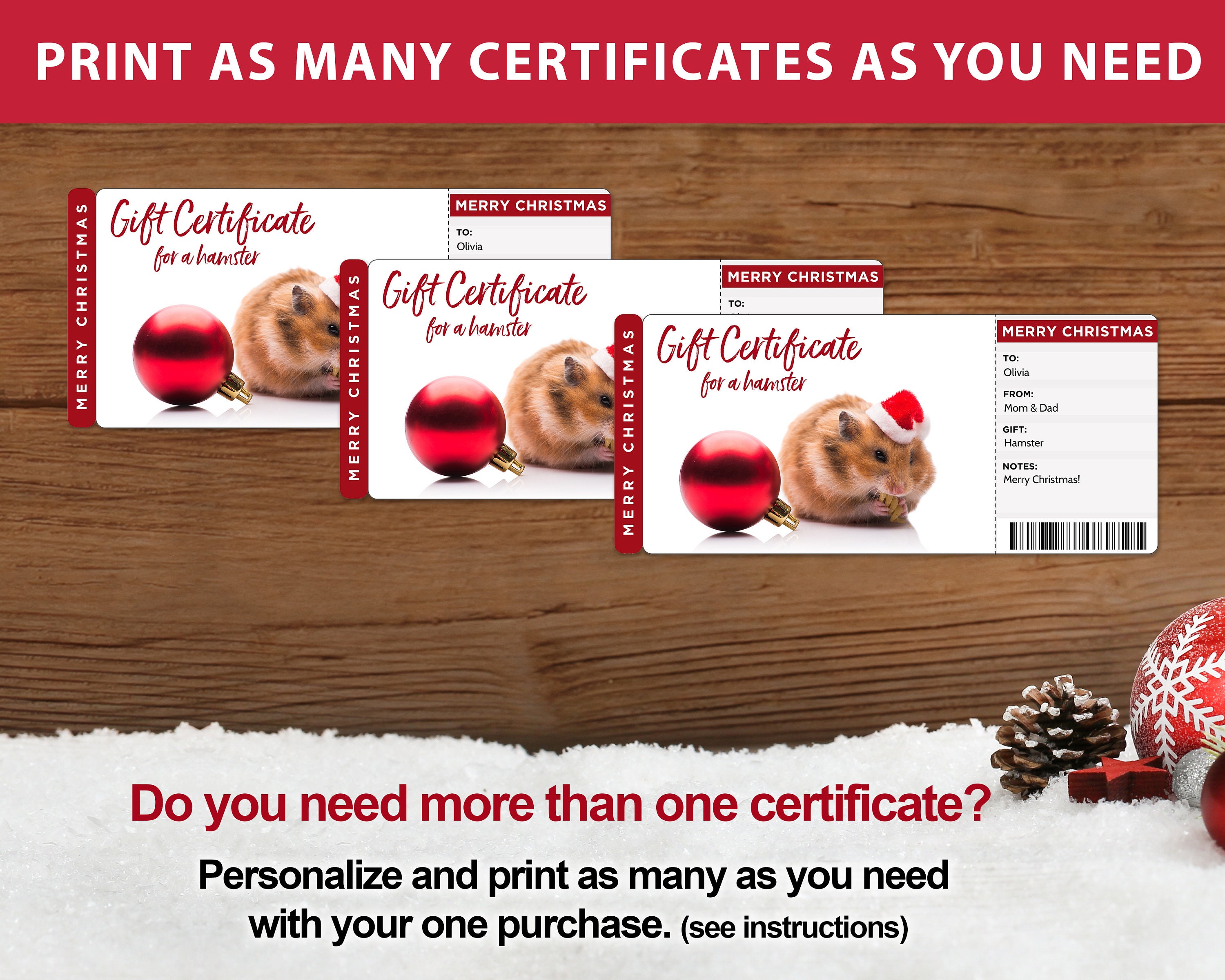 Printable Hamster Gift Certificate Template Hamster Gift Etsy