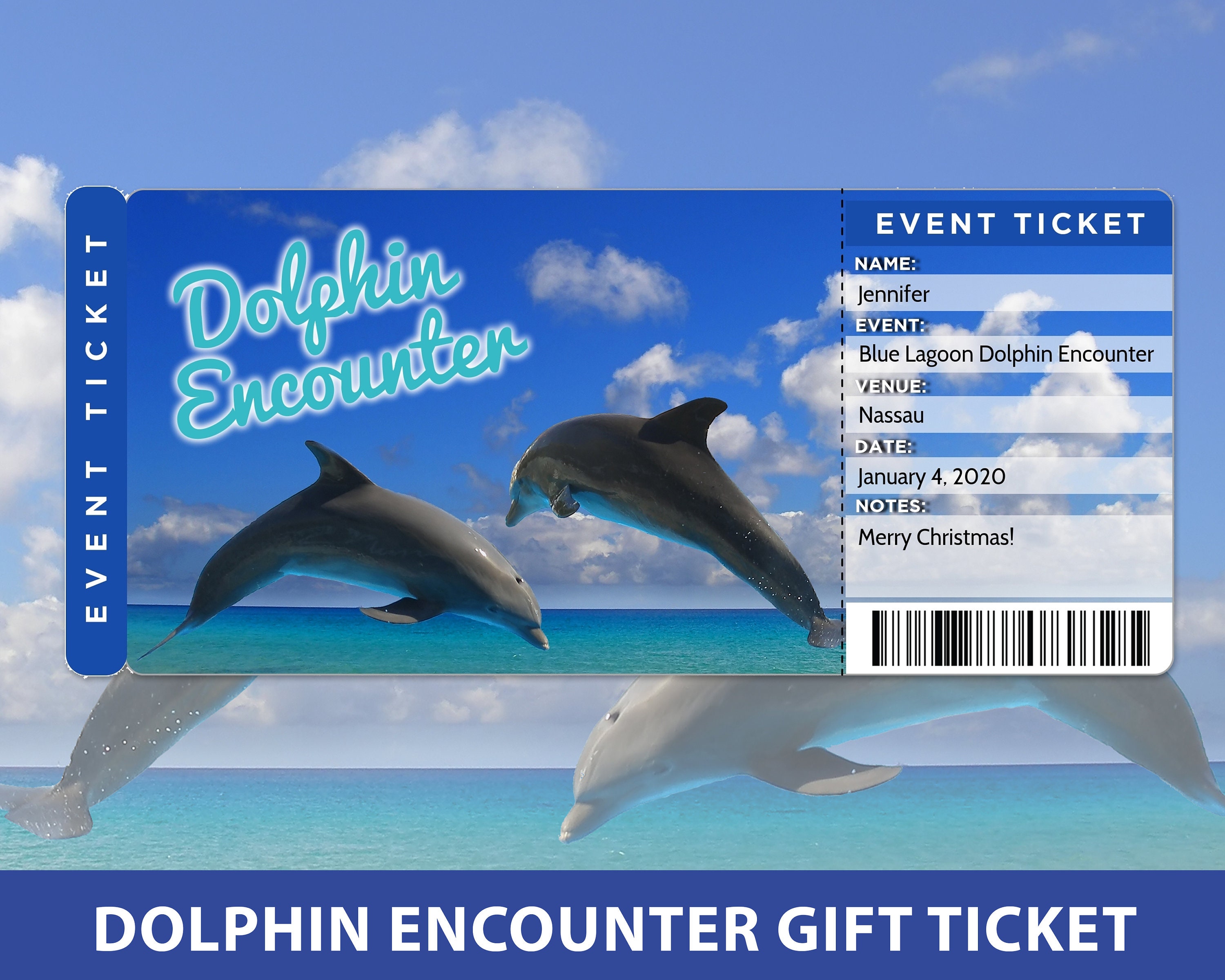 Dolphin Encounter Surprise Reveal Swim with Dolphins Trip Etsy