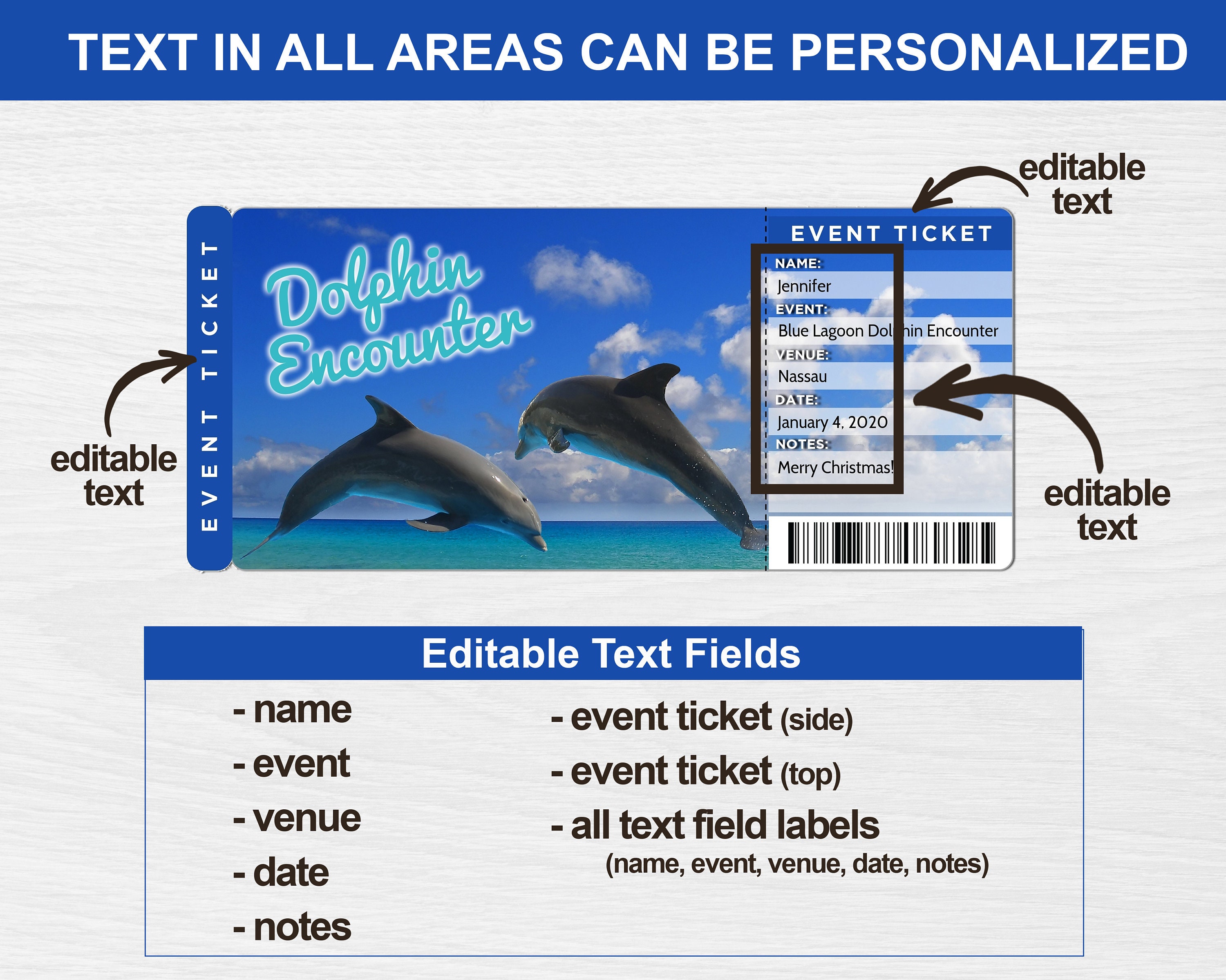 Dolphin Encounter Surprise Reveal Swim With Dolphins Trip Etsy