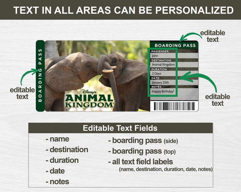 Animal Kingdom Surprise Trip Reveal Tickets Surprise Disney | Etsy