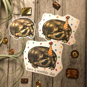 May include: Three white stickers with illustrations of a grumpy-looking frog wearing a party hat. The frog is surrounded by colorful confetti. The bottom sticker has the text "have a terrible day".
