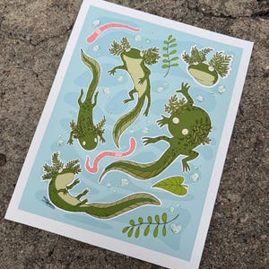 Big Reggie - Tiger Salamander Larvae Art Print - 8.5x11 inches Signed