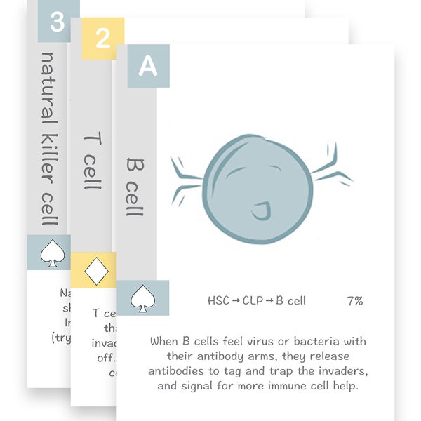 Immune cell playing cards