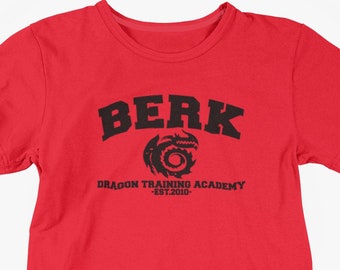 how to train your dragon birthday shirt