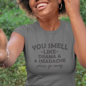 Funny Sarcasm Tee: You Smell Like Drama & a Headache. Adult Unisex S-5XL, Multiple Colors image 4