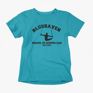 Nightwing inspired T-Shirt: Fan Tee Adult Unisex S-5XL, Multiple Colors Bild 1