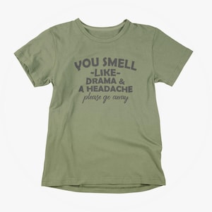 Funny Sarcasm Tee: You Smell Like Drama & a Headache. Adult Unisex S-5XL, Multiple Colors image 1