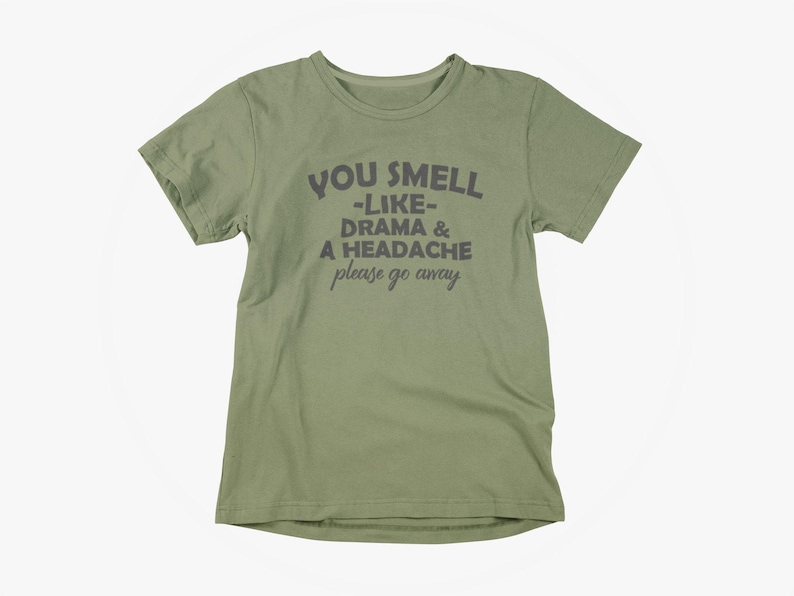 Funny Sarcasm Tee: You Smell Like Drama & a Headache. Adult Unisex S-5XL, Multiple Colors image 1