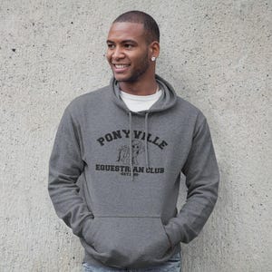Ponyville Adult Hoodie - My Little Pony Inspired, Multiple colors up to 6XL + 4XLT . 80's style. image 2