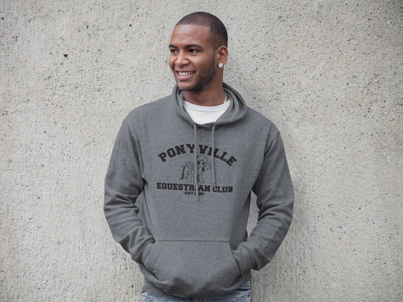 Ponyville Adult Hoodie - My Little Pony Inspired, Multiple colors up to 6XL + 4XLT . 80's style. image 2