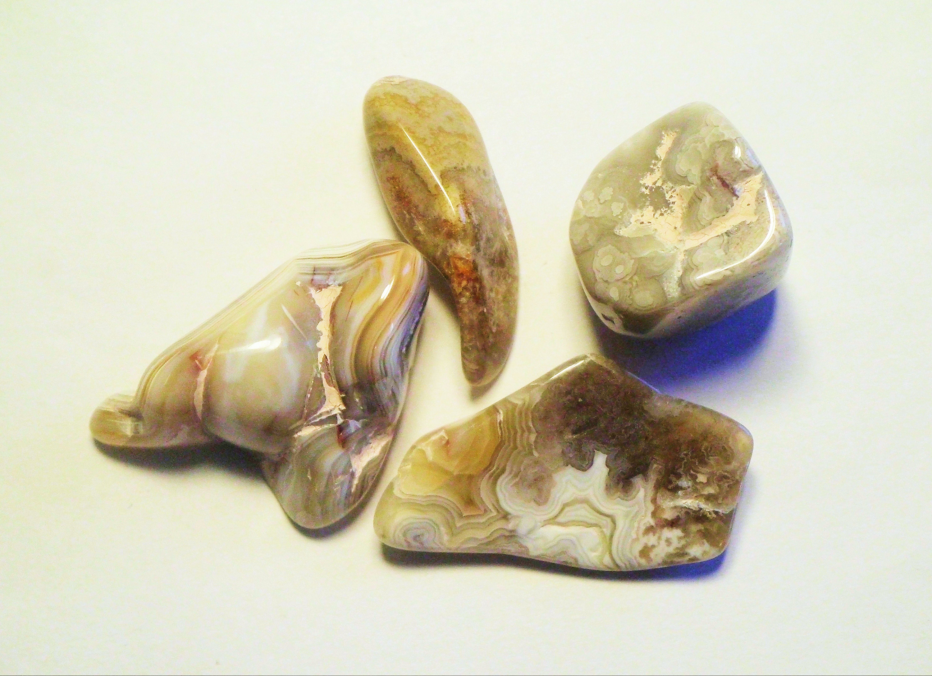 100 個ロット 研磨済み クレイジー レース アゲート メキシコ E3