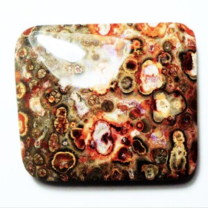 46.86cts Very nice 32 x 28 x 6 mm Leopard Skin Jasper cabochon Mexico