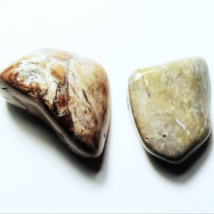 100cts polierte Ohio Flint Nethers Farm E2