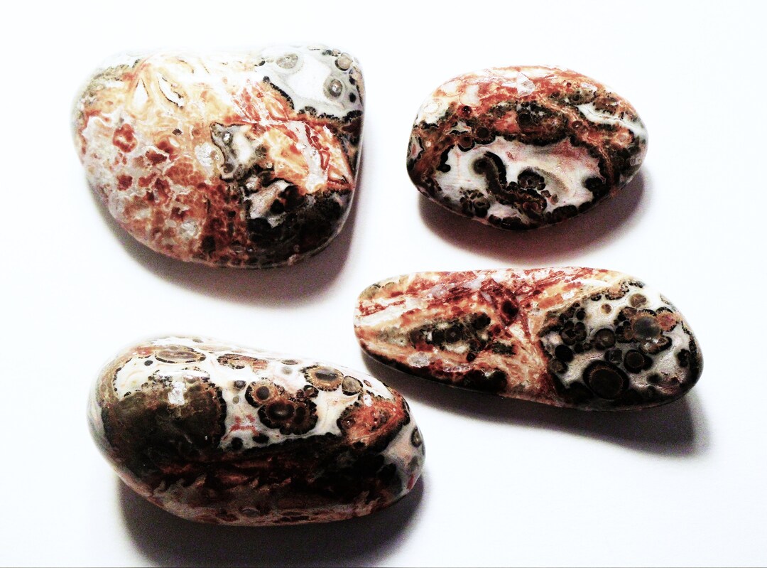 100cts Lot Polierter Leoparden jaspis Mexiko E 1 Etsy.de