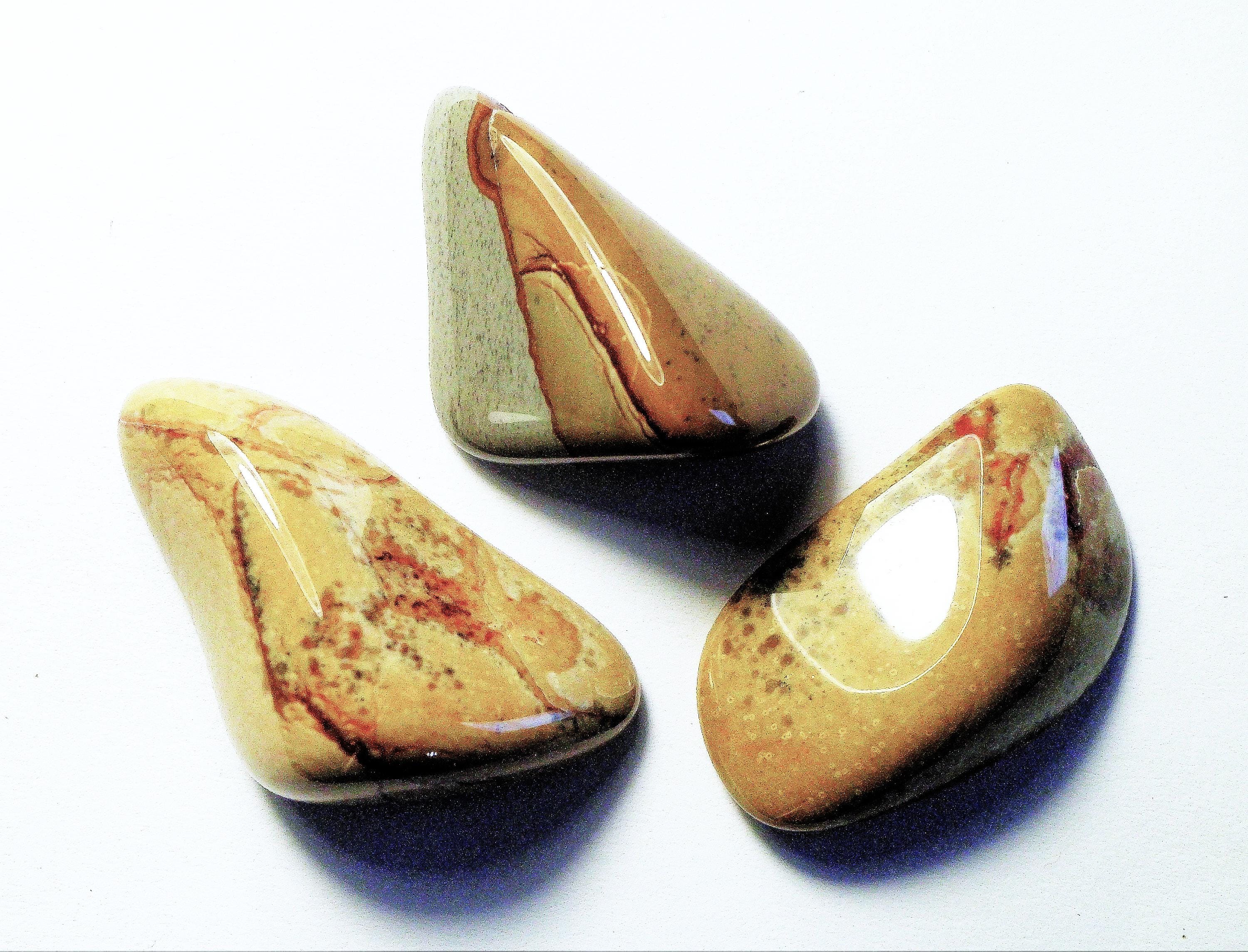 100cts polished Wild Horse Picture Jasper Owyhee Mountains E5